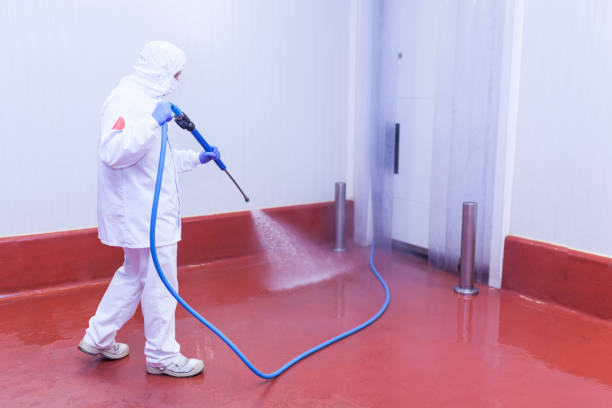 Boat and Dock Cleaning in Quinlan, TX
